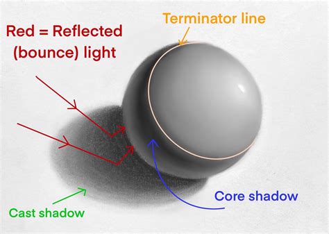 core shadow definition in art and the influence of light on the perception of beauty