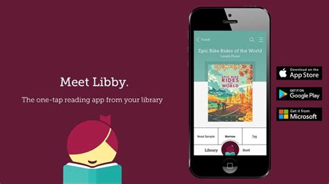 how to download books on libby and the role of libraries in fostering digital literacy