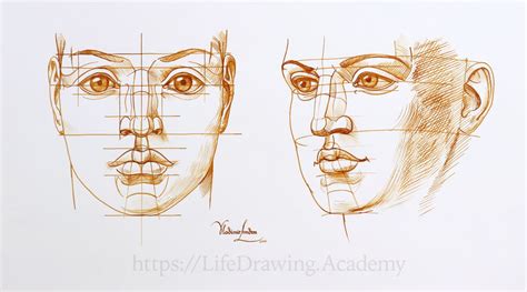 how to sketch a realistic face and understanding the importance of perspective in art